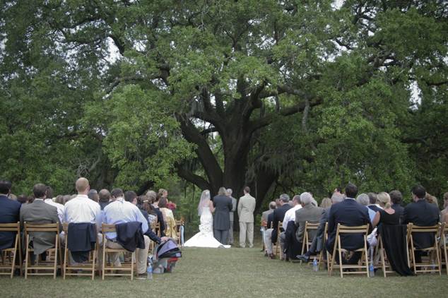 Wedding Dreams At Bigelow Tea’s Charleston Tea Plantation